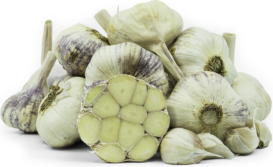 Discover the Unique Flavor of Italian Purple Garlic