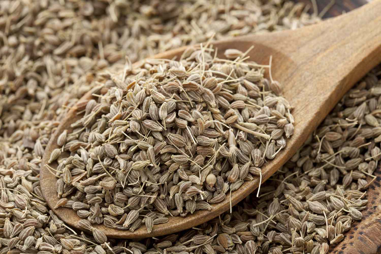 Anise Seed: Common Names and Health Benefits