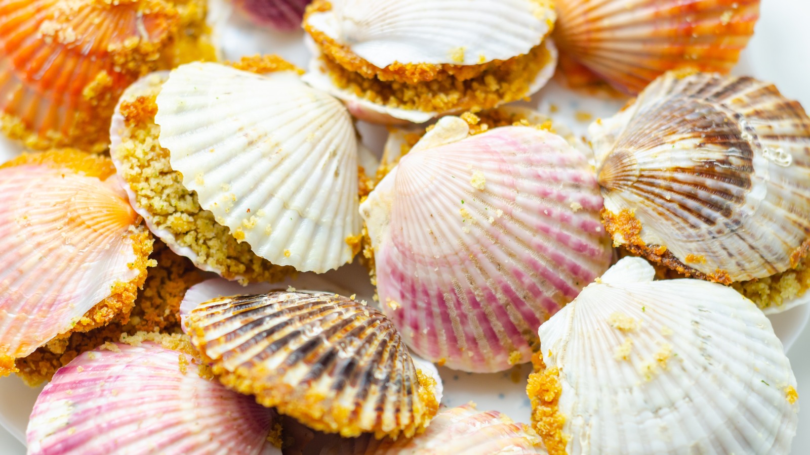 Japanese Scallops vs. Alaska Scallops: Whats the Difference?