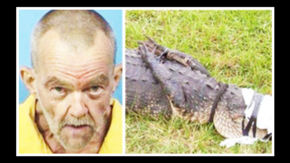 Unbelievable Stories: People Who Claimed Sex on an Alligator