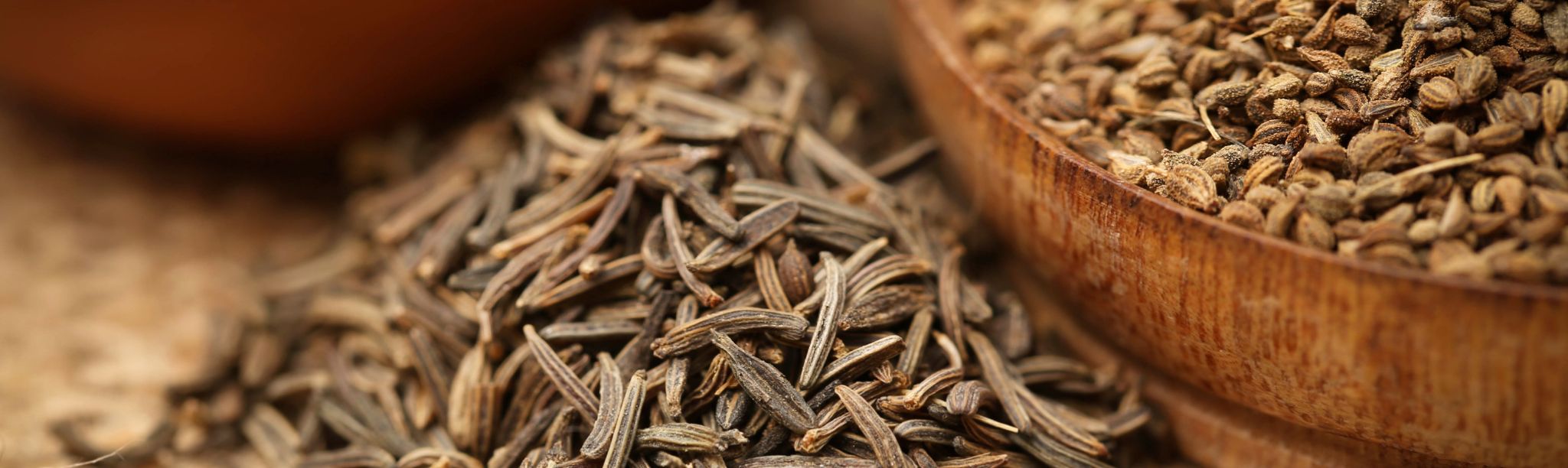 Cooking with Caraway Spice: Tips and Delicious Recipes