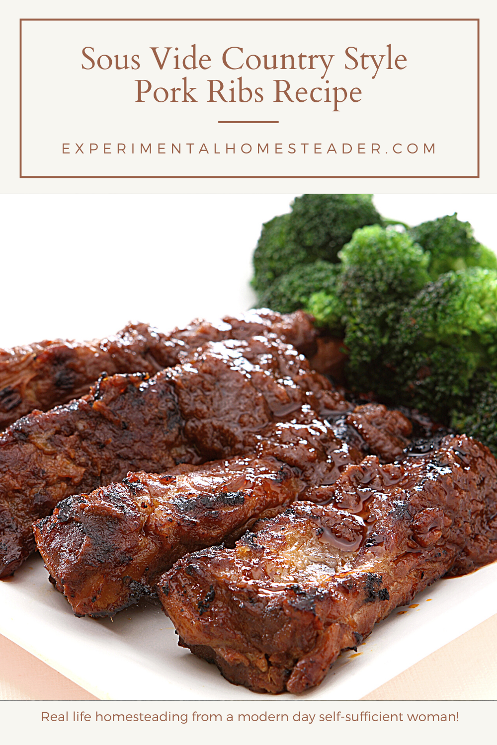 Sous Vide Country Style Pork Ribs: Tips and Tricks for Best Results