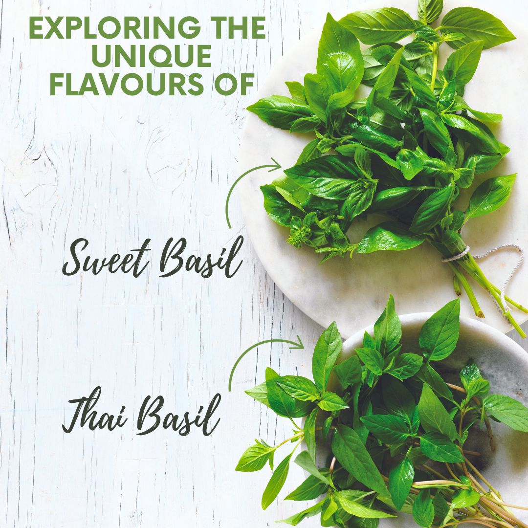 Exploring Culinary Delights: What is Sweet Basil Egg?