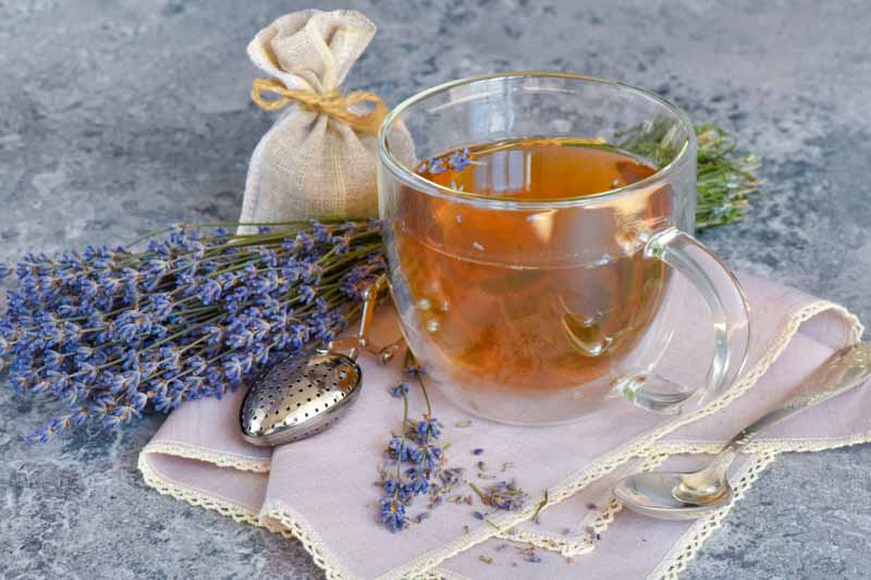 Can You Really Use Lavender for Tea? Find Out Here!