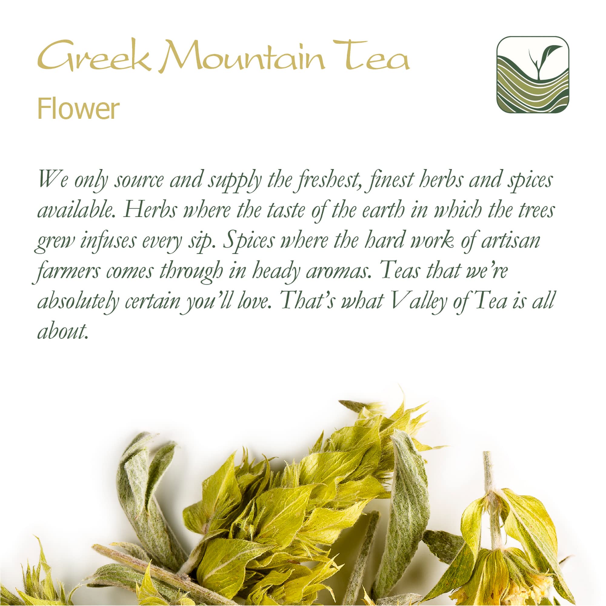 Greek Mountain Tea Benefits for You (Simple Ways to Boost Your Health Naturally)