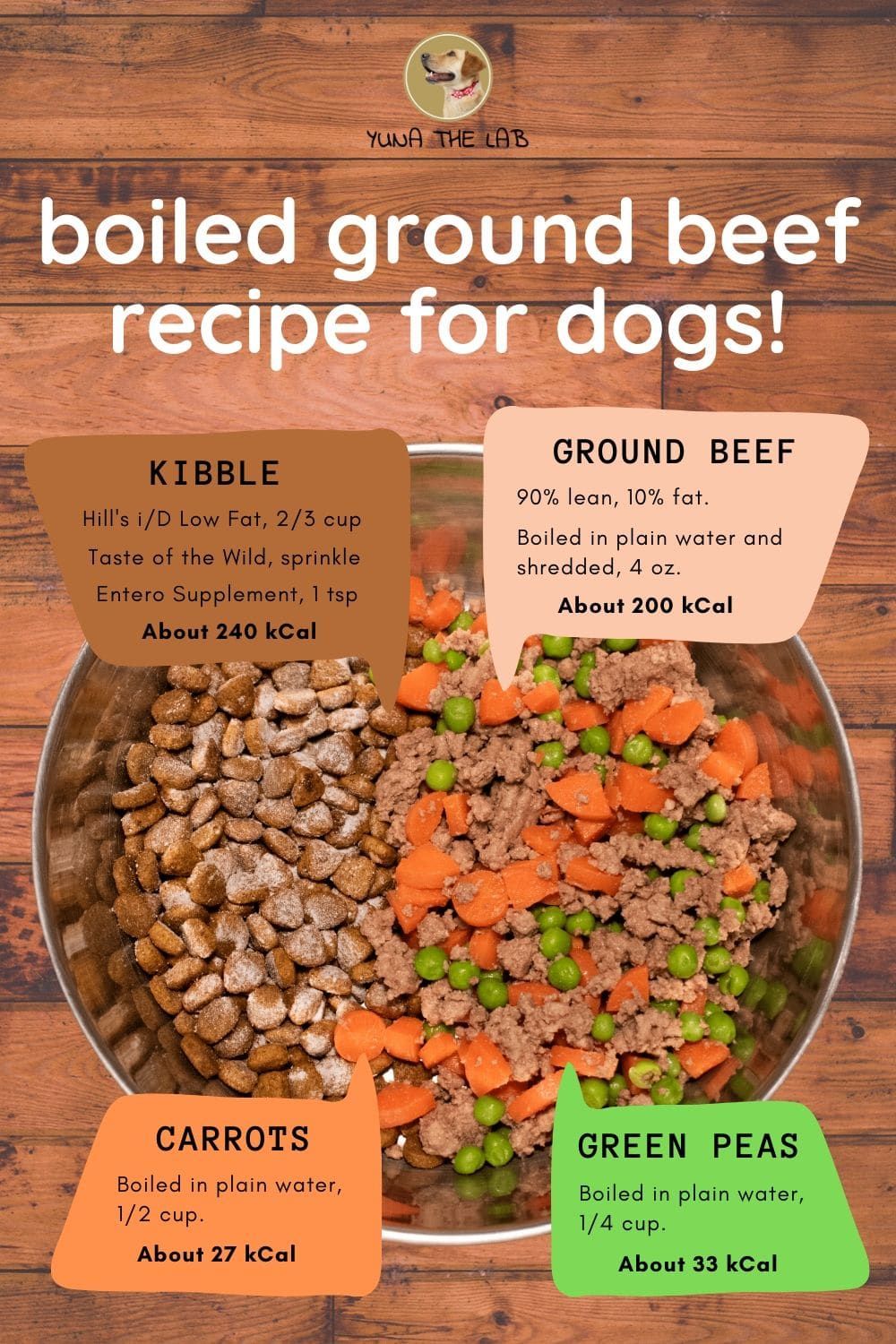 Quick and Easy Ground Beef Recipe for Dogs Your Pup Will Love