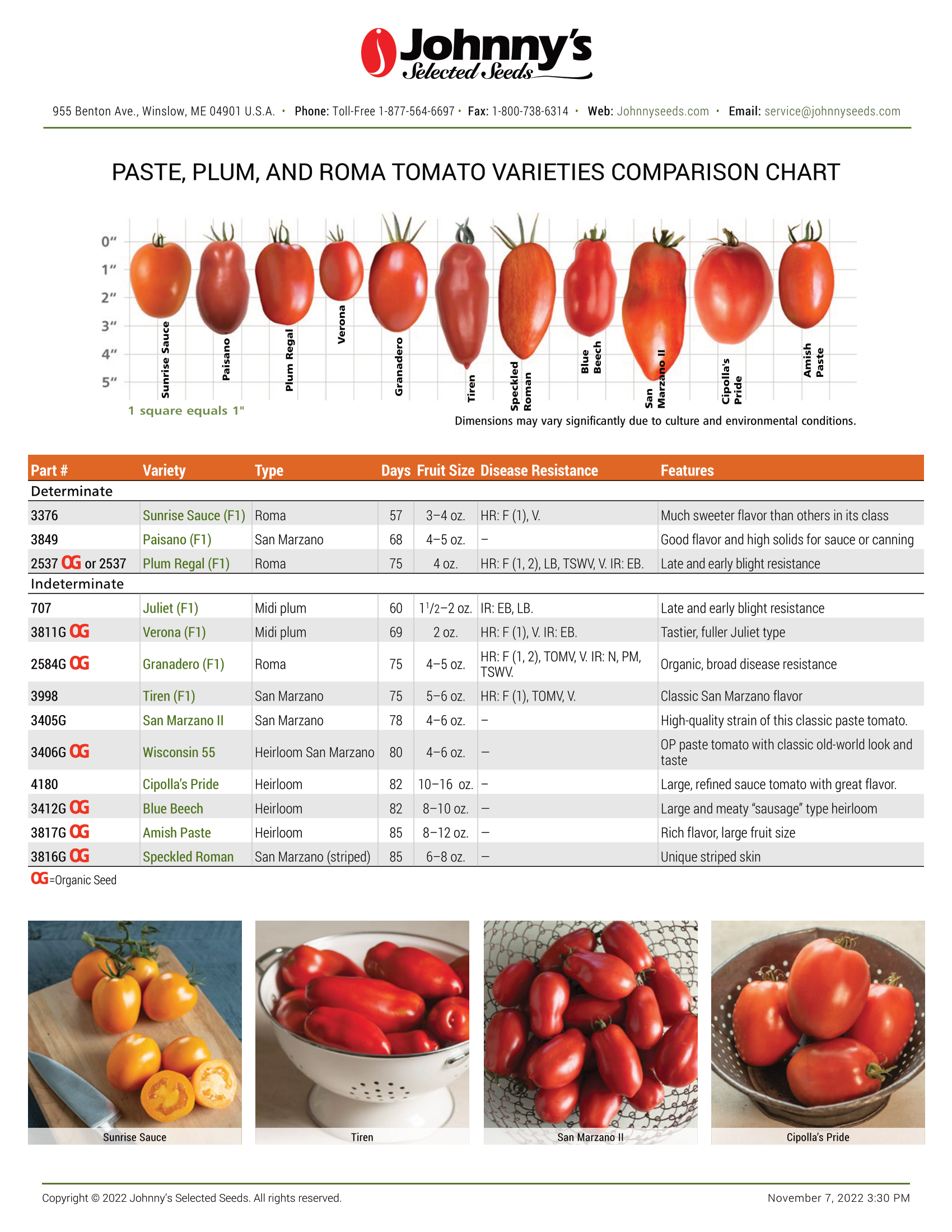 San Marzano Tomato Seeds vs. Other Varieties (Which One Should You Choose)