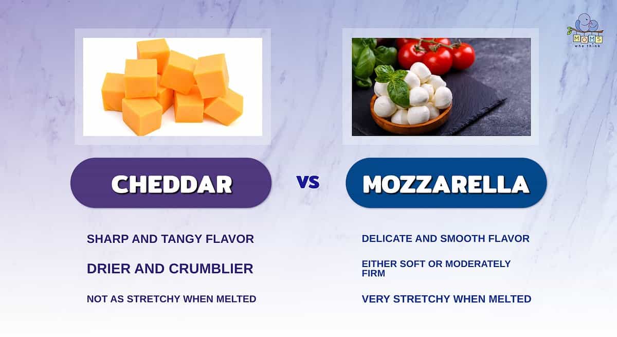 Queso Mozzarella vs Other Cheeses: Whats the Difference?