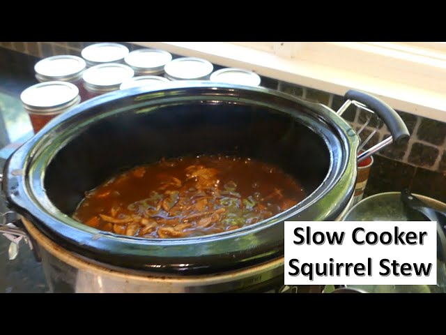 Easy Slow Cooker Squirrel Recipes (Tender and Flavorful Meals)