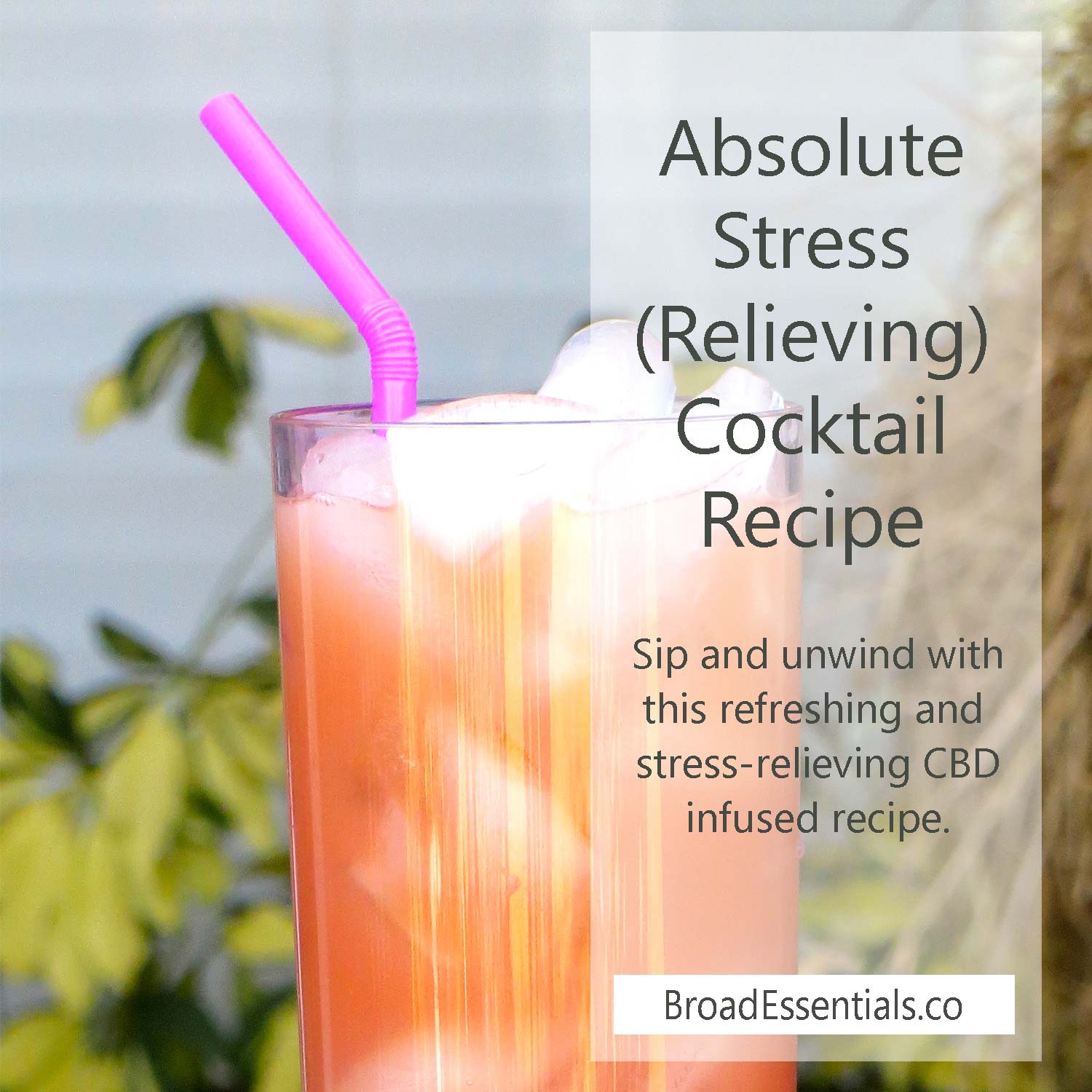 Feeling Stressed? Make an Absolute Stress Drink Tonight