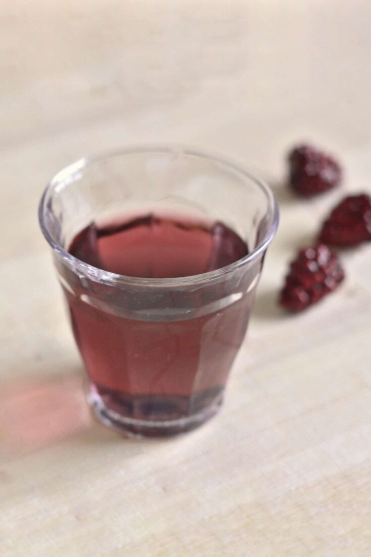 Purple Hooter Shot Recipe: The Best Vodka and Raspberry Drink